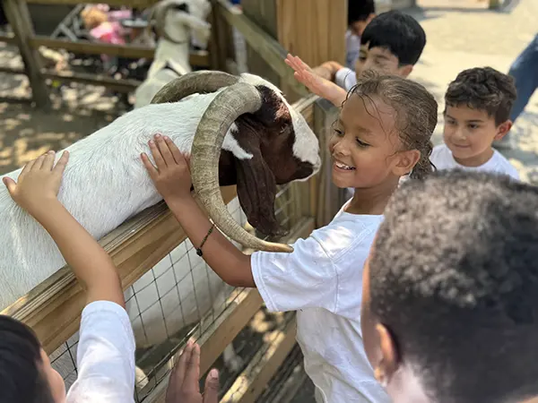 Why Queens is the best place for summer camp.
